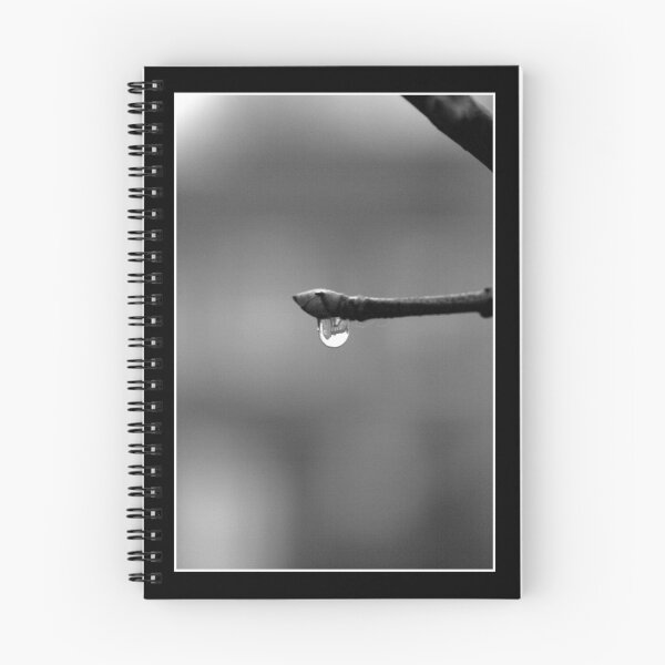 Item preview, B&W raindrop designed and sold by Melody Shanahan-Kluth.
