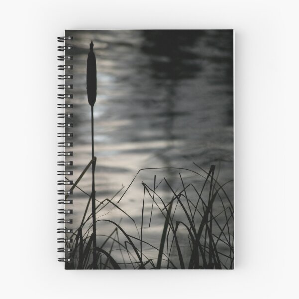 Item preview, Bullrushes designed and sold by Ian Tilly.