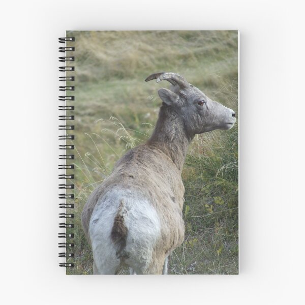 Item preview, Mother Bighorn designed and sold by Tiffany Vest.