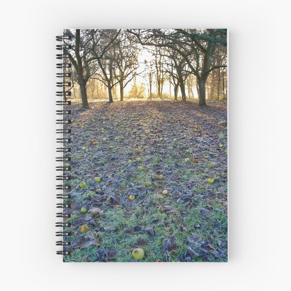 Item preview, Winter Orchard designed and sold by Euan Christopher.