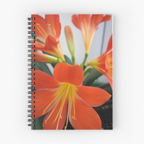 Item preview, Orange designed and sold by Debbie Vine.