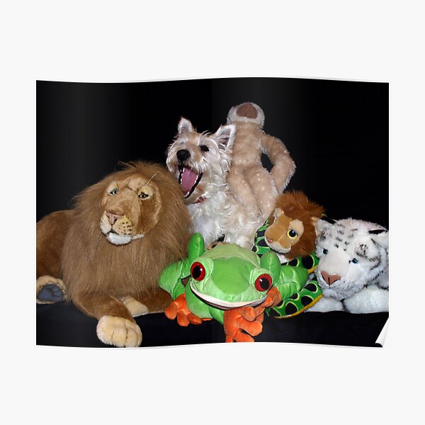 Bella Queen of the Jungle Poster