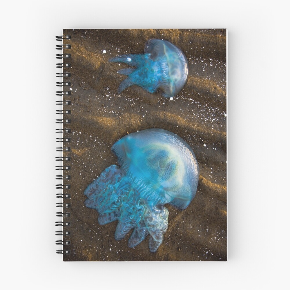 Item preview, Spiral Notebook designed and sold by GarryS.