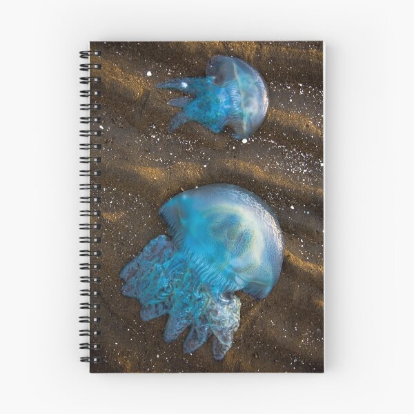Item preview, Stranded designed and sold by Garry Schlatter.