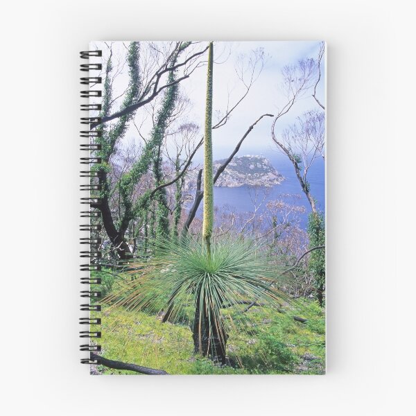 Item preview, Grasstree and South-east Point designed and sold by Travis Easton.