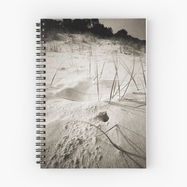 Item preview, Sawtell Beach designed and sold by Duncan Waldron.
