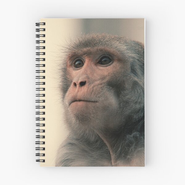 Item preview, Evolutionary Thought designed and sold by BaciuC.