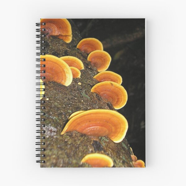 Item preview, fungi stairway designed and sold by terriP.