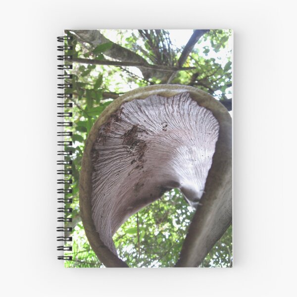 Item preview, Forest Facination designed and sold by terriP.