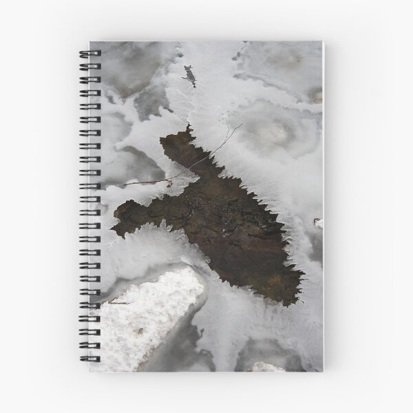 Item preview, Ice Amoeba designed and sold by Dan Cahill.