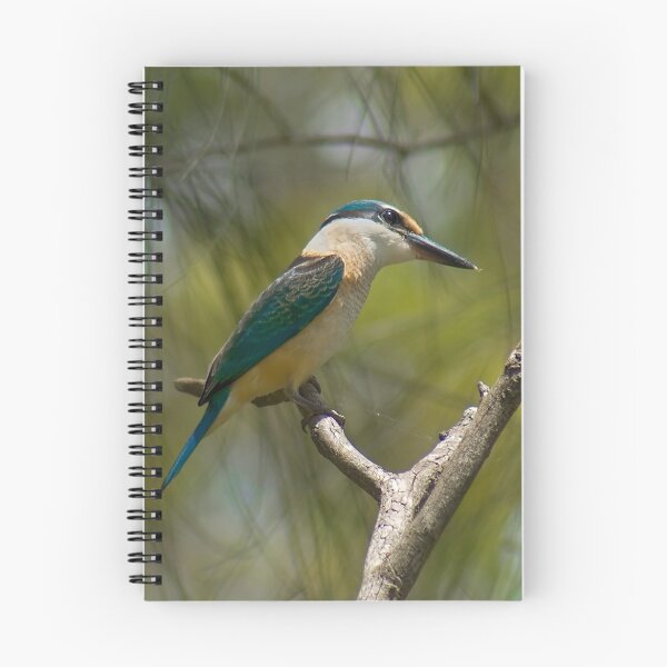 Aperçu de l'œuvre Sacred Kingfisher créée et vendue par Precision.