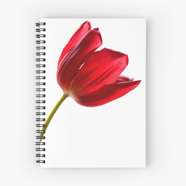 Item preview, strength designed and sold by jotography.