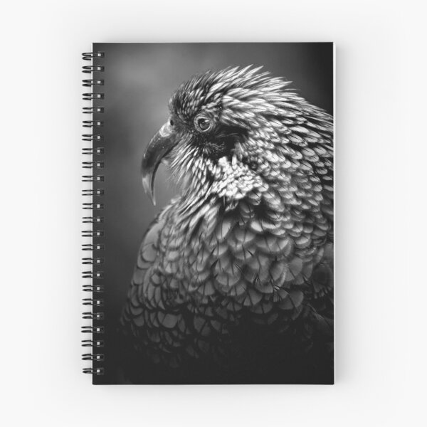 Item preview, Kea designed and sold by senrabphoto.