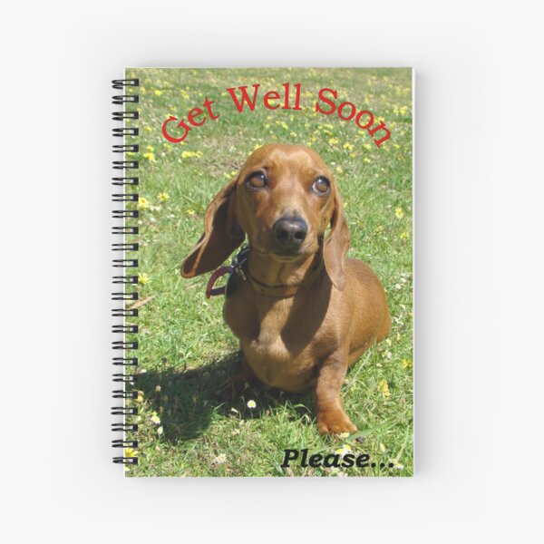 Item preview, Get Well Soon designed and sold by Rainbow Farm Photography.