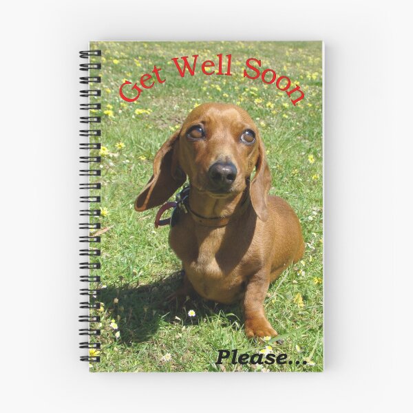 Item preview, Get Well Soon designed and sold by Rainbow Farm Photography.