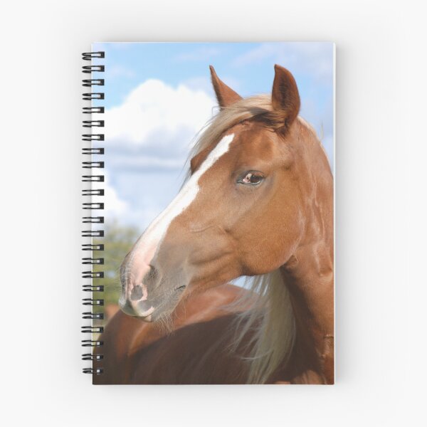 Item preview.