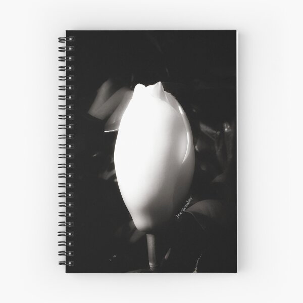 Item preview, White Magnolia Bud designed and sold by © Joe  Beasley IPA.