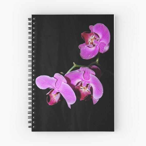 Item preview, Orchid Delight designed and sold by dumbomsa.
