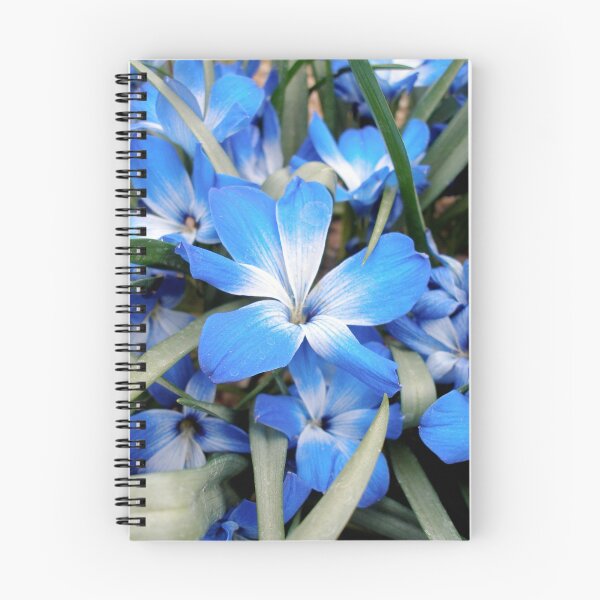 Item preview, Blue Flower designed and sold by Andrew Dunwoody.