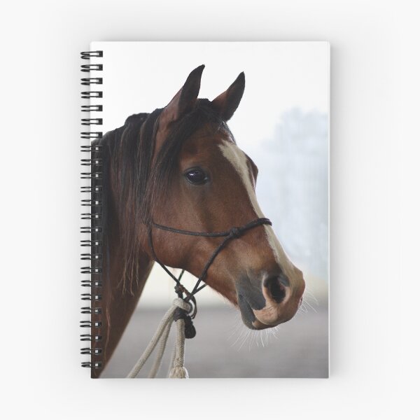 Item preview, Arriba designed and sold by Barrie Collins.
