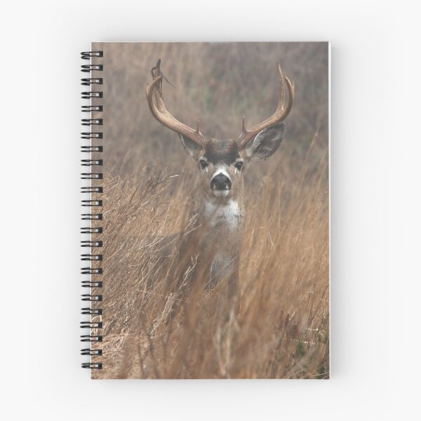 Item preview, Black Tailed Buck designed and sold by Ray Rozelle.