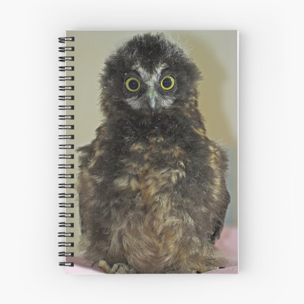 Item preview, Baby Morepork designed and sold by RobynCarter.