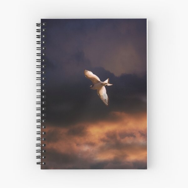 Aperçu de l'œuvre Seabird créée et vendue par Robert  Anthony.