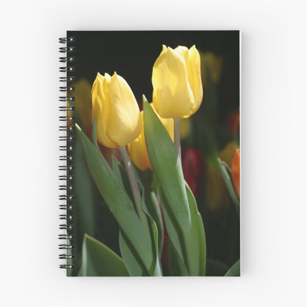 Item preview, 2 Tulips Together designed and sold by Beaner.