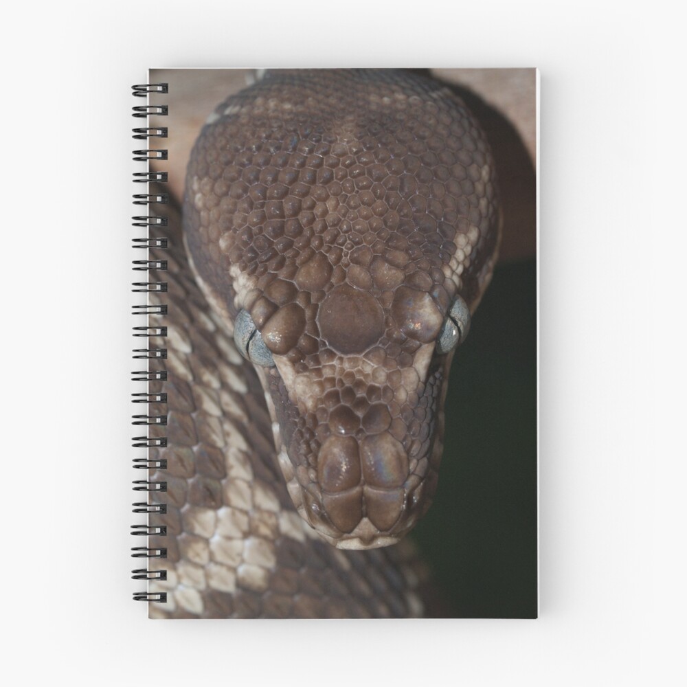 Item preview, Spiral Notebook designed and sold by pugsly.