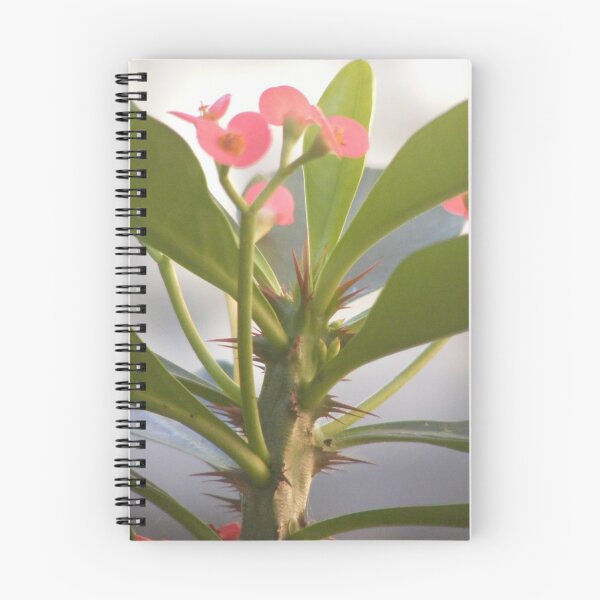 Item preview, Thorns designed and sold by Rachel Mars.
