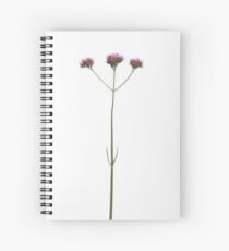 Homage to HC for MW Spiral Notebook