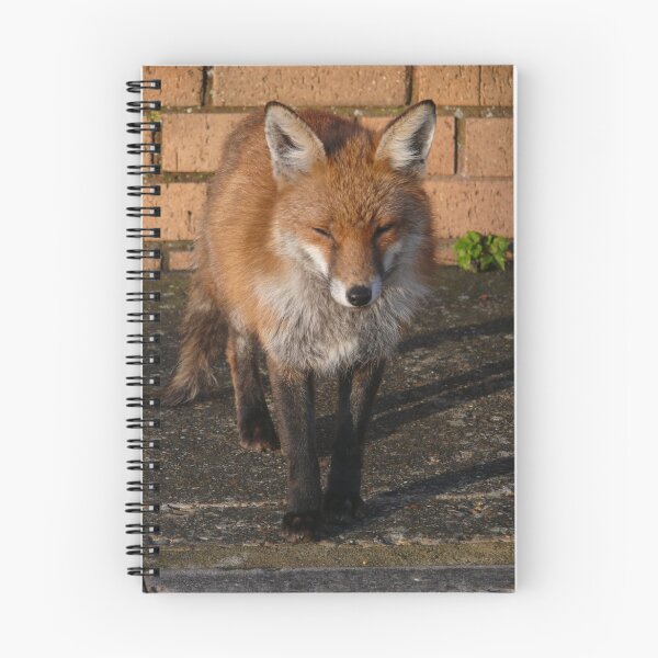 Item preview, Urban Fox Close Up designed and sold by brummieboy.