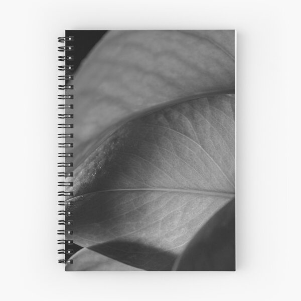 Aperçu de l'œuvre Plant créée et vendue par doesremindme.