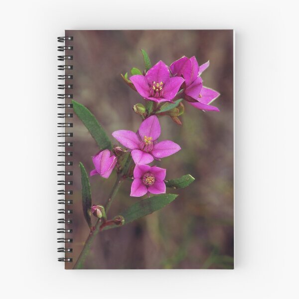 Item preview, Barker's Boronia designed and sold by ChrisRoss.