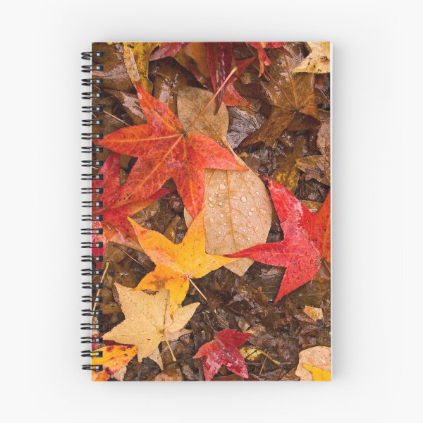 Artikelvorschau, Leaves in Rain entworfen und verkauft von AndyKazie.