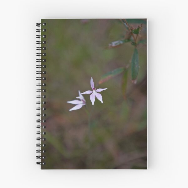 Artikelvorschau, Oz Orchid entworfen und verkauft von Barrie Collins.