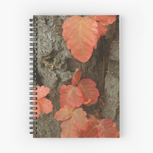 Item preview, Fall Colors designed and sold by Ray Rozelle.