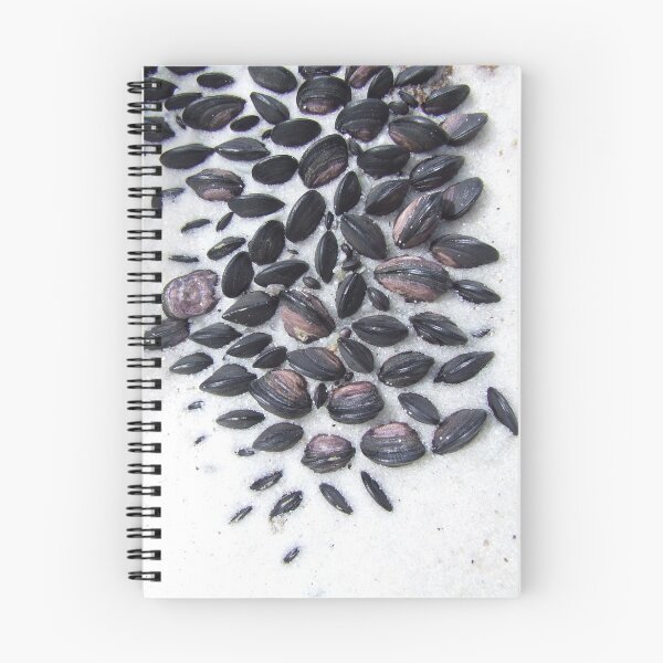 Item preview, Little Mussels designed and sold by Samara  Lee.
