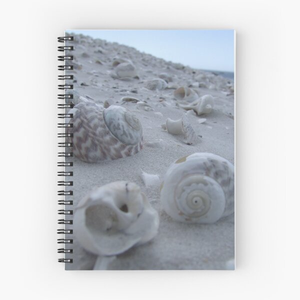 Aperçu de l'œuvre Shell Seeker créée et vendue par Samara  Lee.