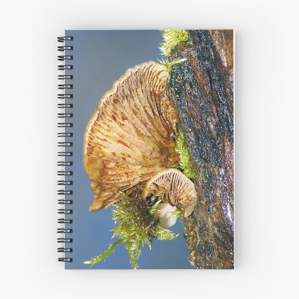 Item preview, Woodland Mushroom designed and sold by Shannon Cooper.