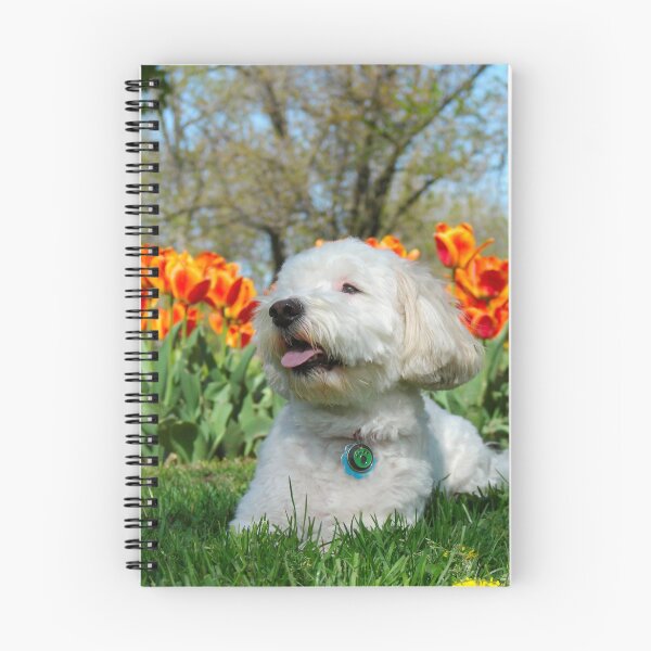 Item preview, A spring day designed and sold by Idil.