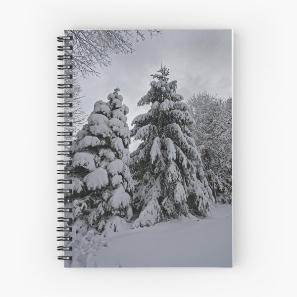 Item preview, Nor Easter designed and sold by EvaMcDermott.