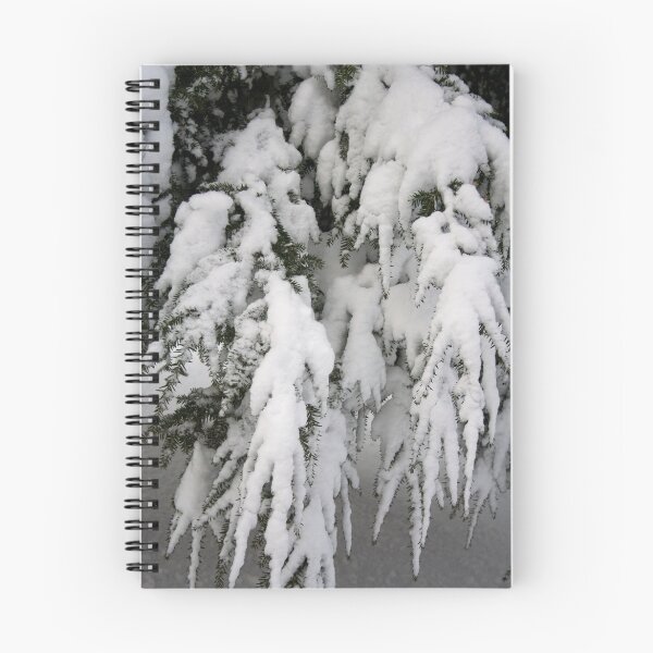 Aperçu de l'œuvre Recent Snow Serie: Snowfall II créée et vendue par Dan Cahill.