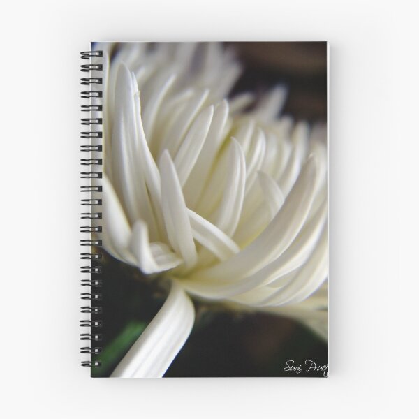 Item preview, Tilted designed and sold by Suni Pruett.