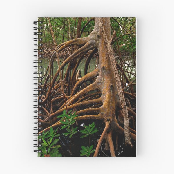 Item preview, Root III designed and sold by mlgoren.