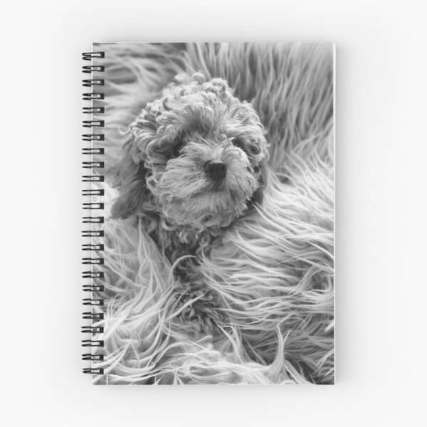 Item preview, Spot the Dog designed and sold by Ganz.
