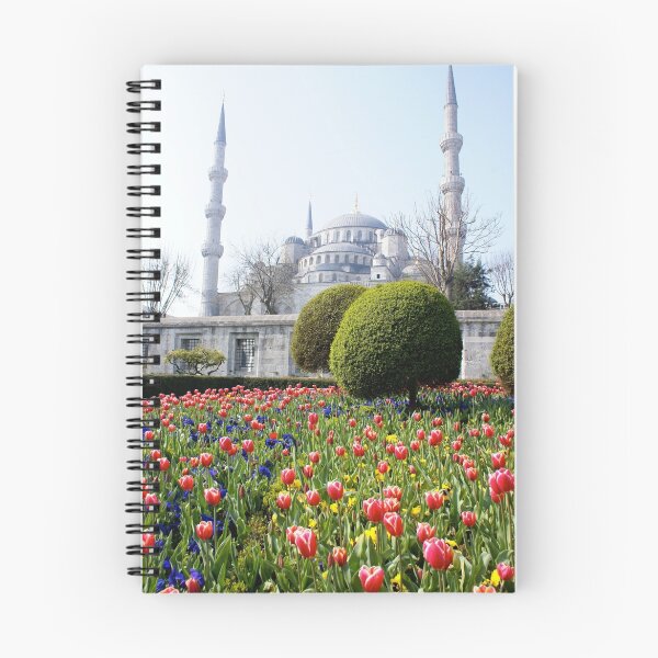 Artikelvorschau, Blue Mosque Istanbul entworfen und verkauft von Kiwikiwi.
