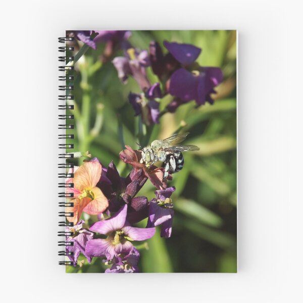 Item preview, Australian Blue Banded Bee designed and sold by Ross Jardine.