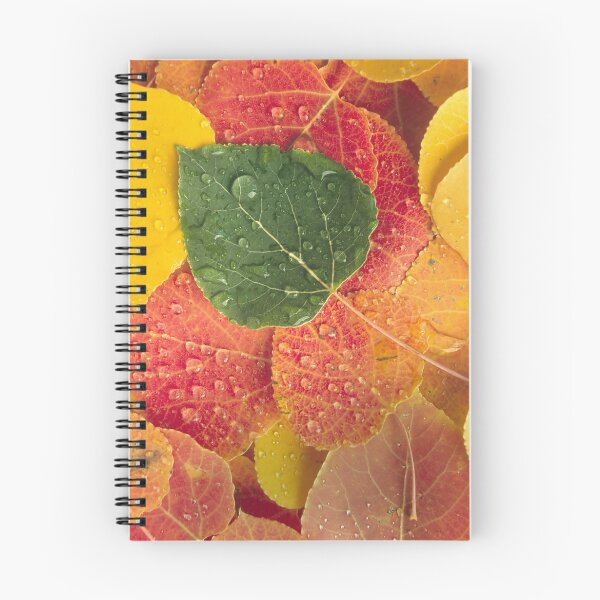 Item preview, Fall N Leaves designed and sold by Steve  Taylor.
