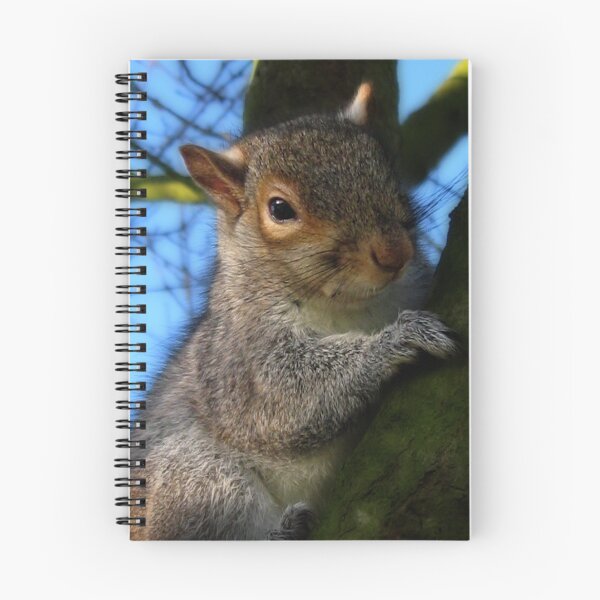 Item preview, GREY SQUIRREL designed and sold by Katseyes.